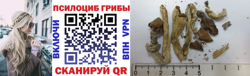 Псилоцибиновые грибы мицелий  Воскресенск 
